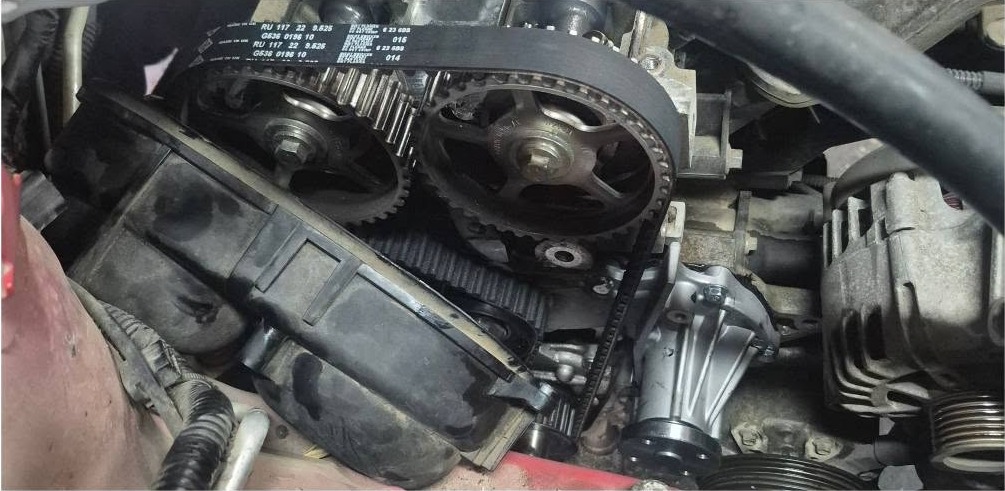 Timing belt and water pump exposed during a belt replacement